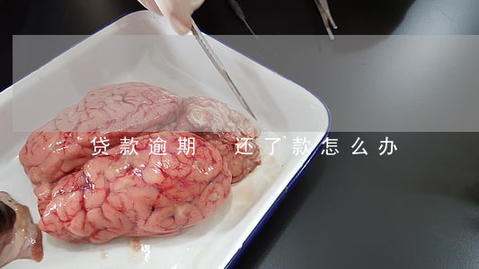 贷款逾期 还了款怎么办 贷款逾期 还了款怎么办